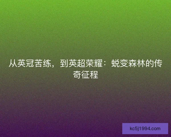 从英冠苦练,到英超荣耀:蜕变森林的传奇征程 从英冠苦练,到英超荣耀:蜕变森林的传奇征程